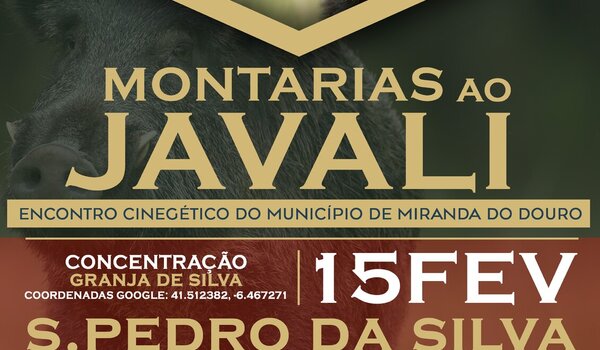 cartaz_2montarias