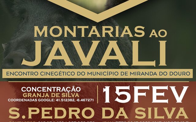 cartaz_2montarias