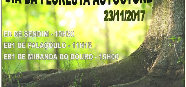 cartaz_2017_floresta