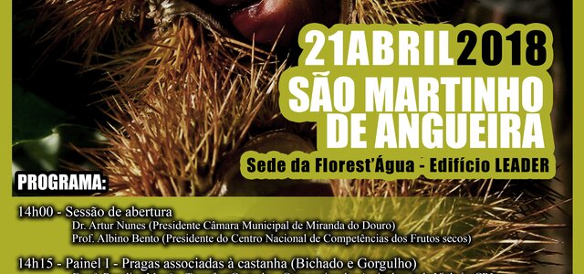 Castanheiro2018