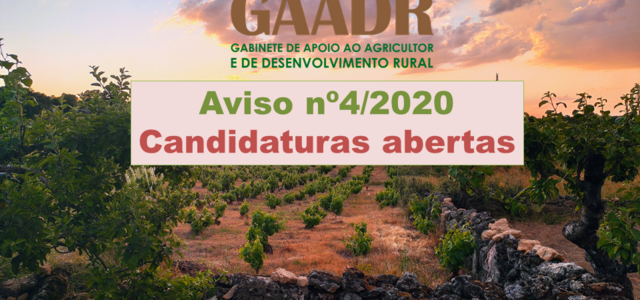 imagemcandidaturas_4_2020