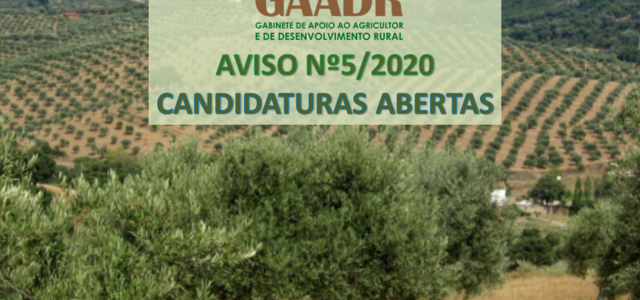 imagemcandidaturas_5_2020