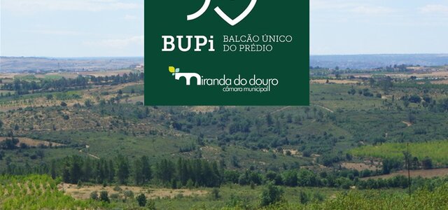 bupi_miranda_do_douro