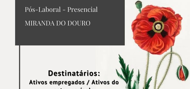 plantas_aromaticas_miranda_do_douro_58466_