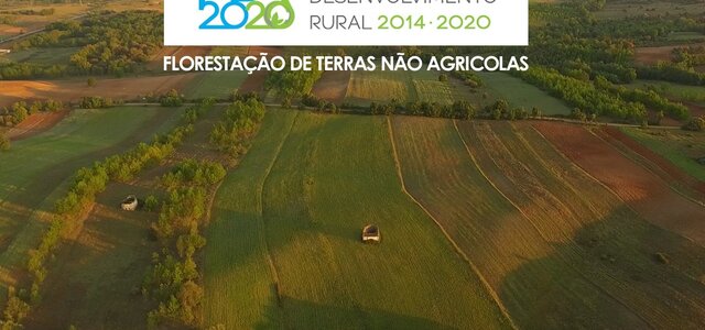 florestacao_de_terras_nao_agricolas