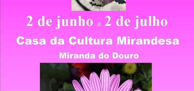 cartaz__final_exposi__o