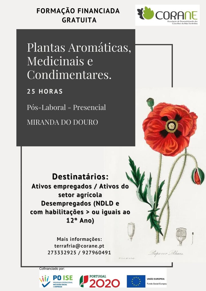 Plantas aromáticas